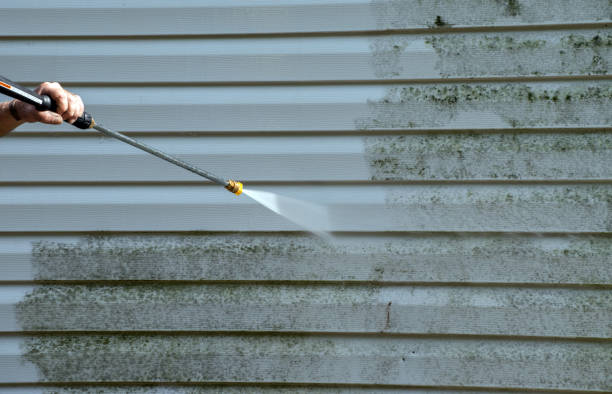 Best Roof Pressure Washing  in Heidelberg, TX