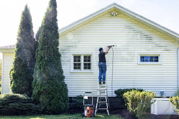 Best Roof Power Washing Services  in Heidelberg, TX